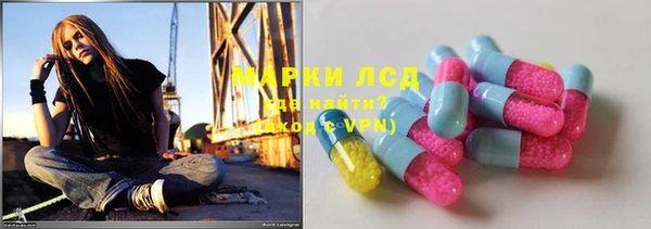 бошки Инта