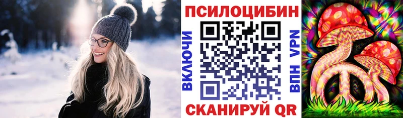 где купить наркоту  Нерюнгри  Галлюциногенные грибы Magic Shrooms 