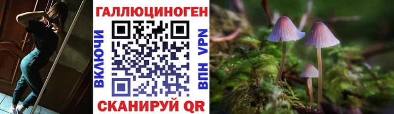 Псилоцибиновые грибы Magic Shrooms Нерюнгри
