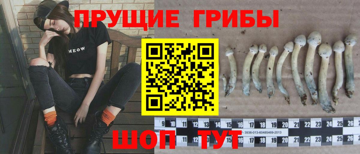 Нерюнгри  Псилоцибиновые грибы Psilocybine cubensis  Вход с VPN 